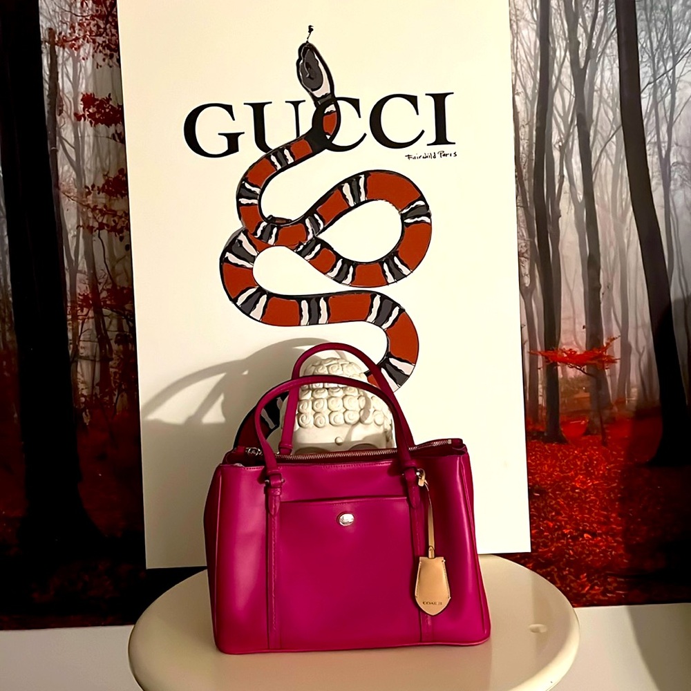 Coach bag